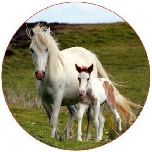 Edible paper Round  - mare with foal