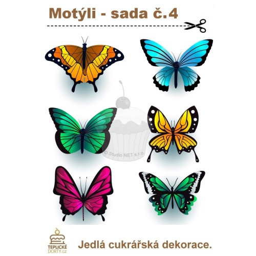 „Amazońskie motyle” - A5