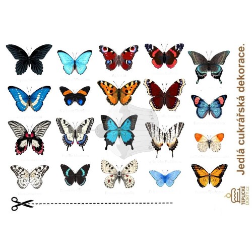 "Motýli Amazonie 20ks" - A4