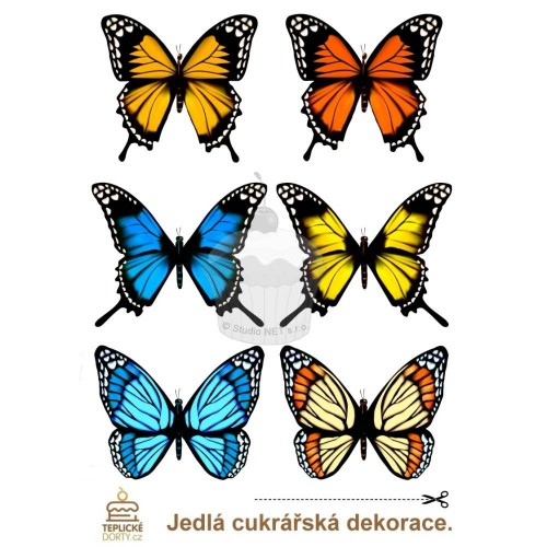 "Butterflies Amazon BIG 6pcs" - A4