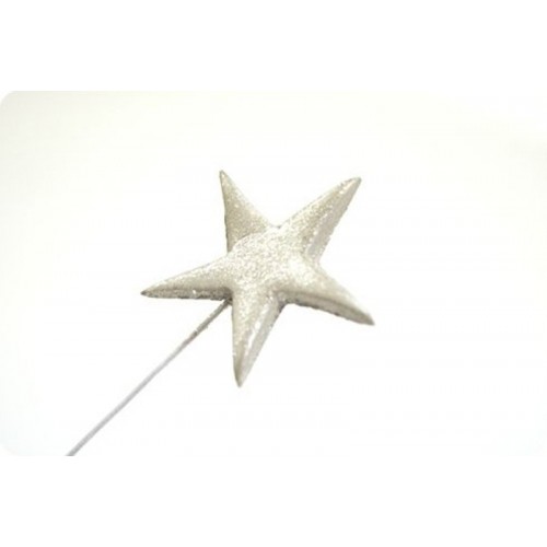RD Prachová perleťová barva  - Starlight Silver Saturn