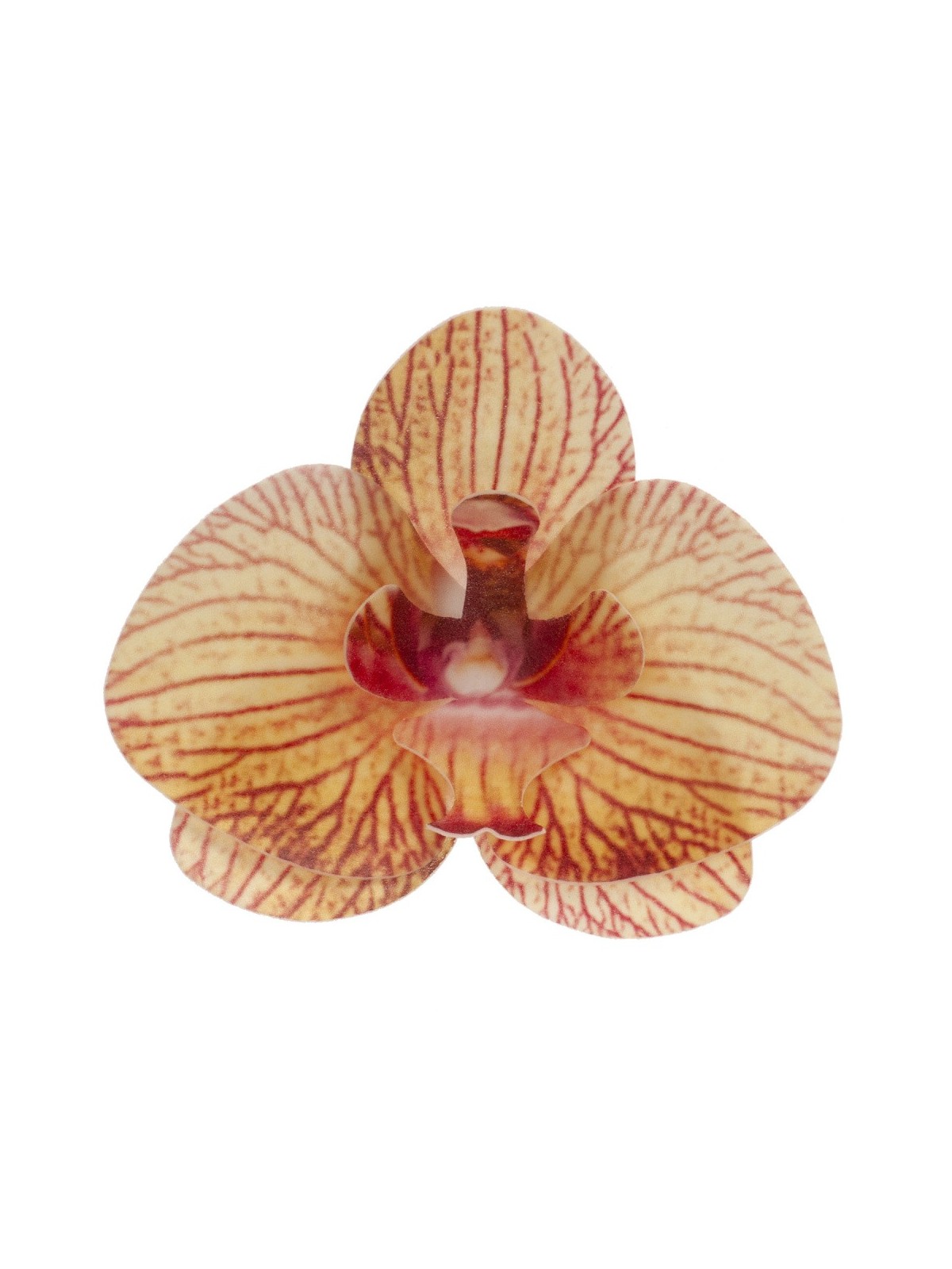 Decor - Edible paper - yellow orchid - 10 pieces