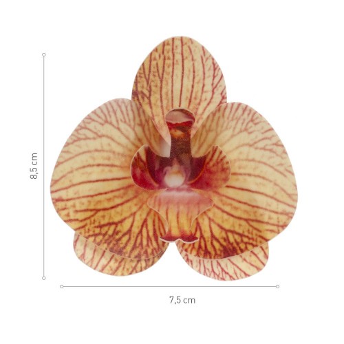 Dekora - Edible paper - yellow orchid - 10 pcs
