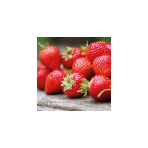 FunCakes Flavouring  - Strawberry - 120g