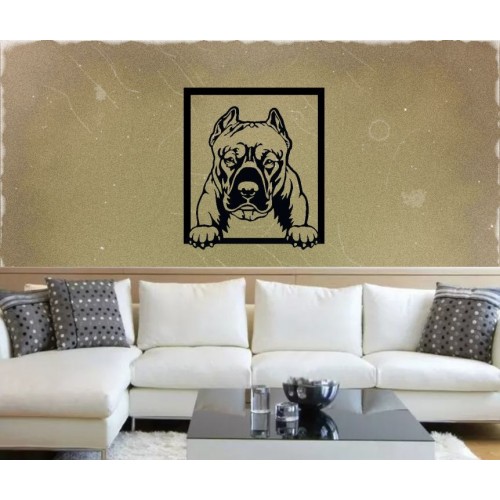 Bild an der Wand - Amerikanischer Pitbull Terrier 2