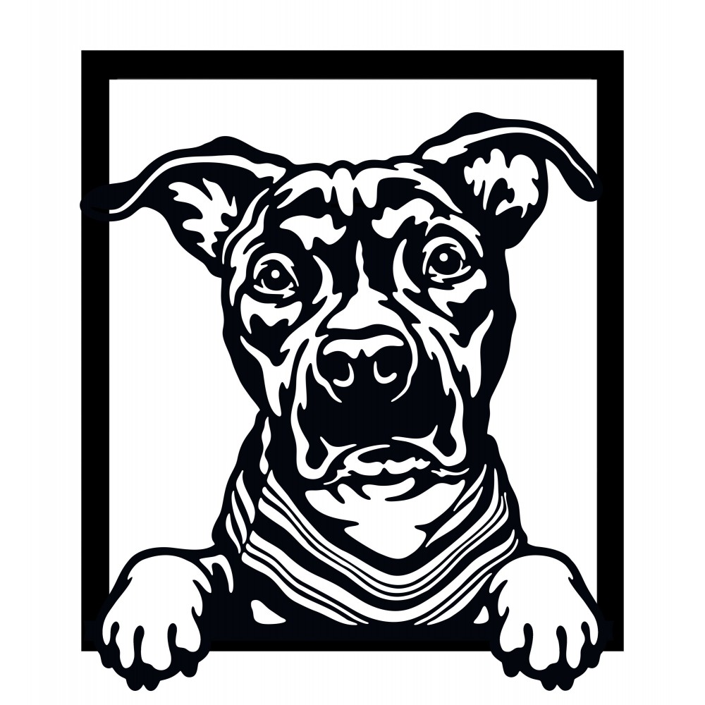 Bild an der Wand - Amerikanischer Staffordshire Terrier.