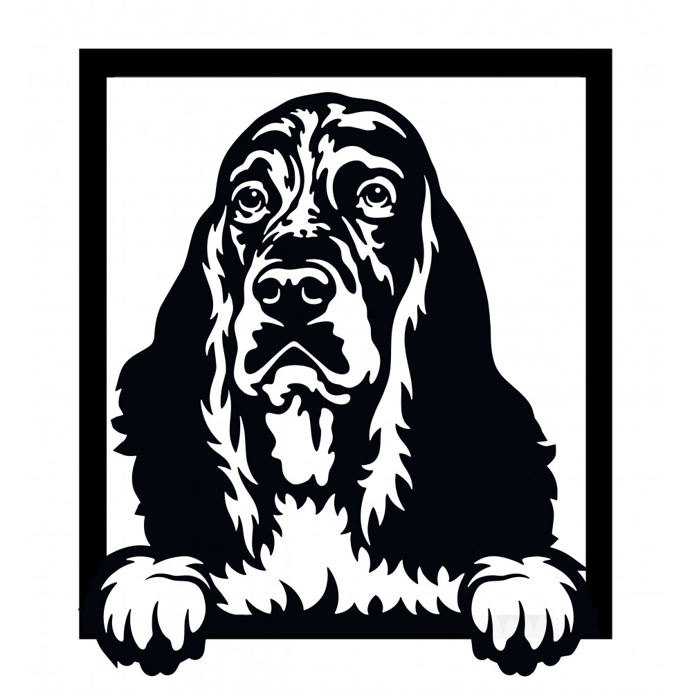 Wall image - English springer spaniel