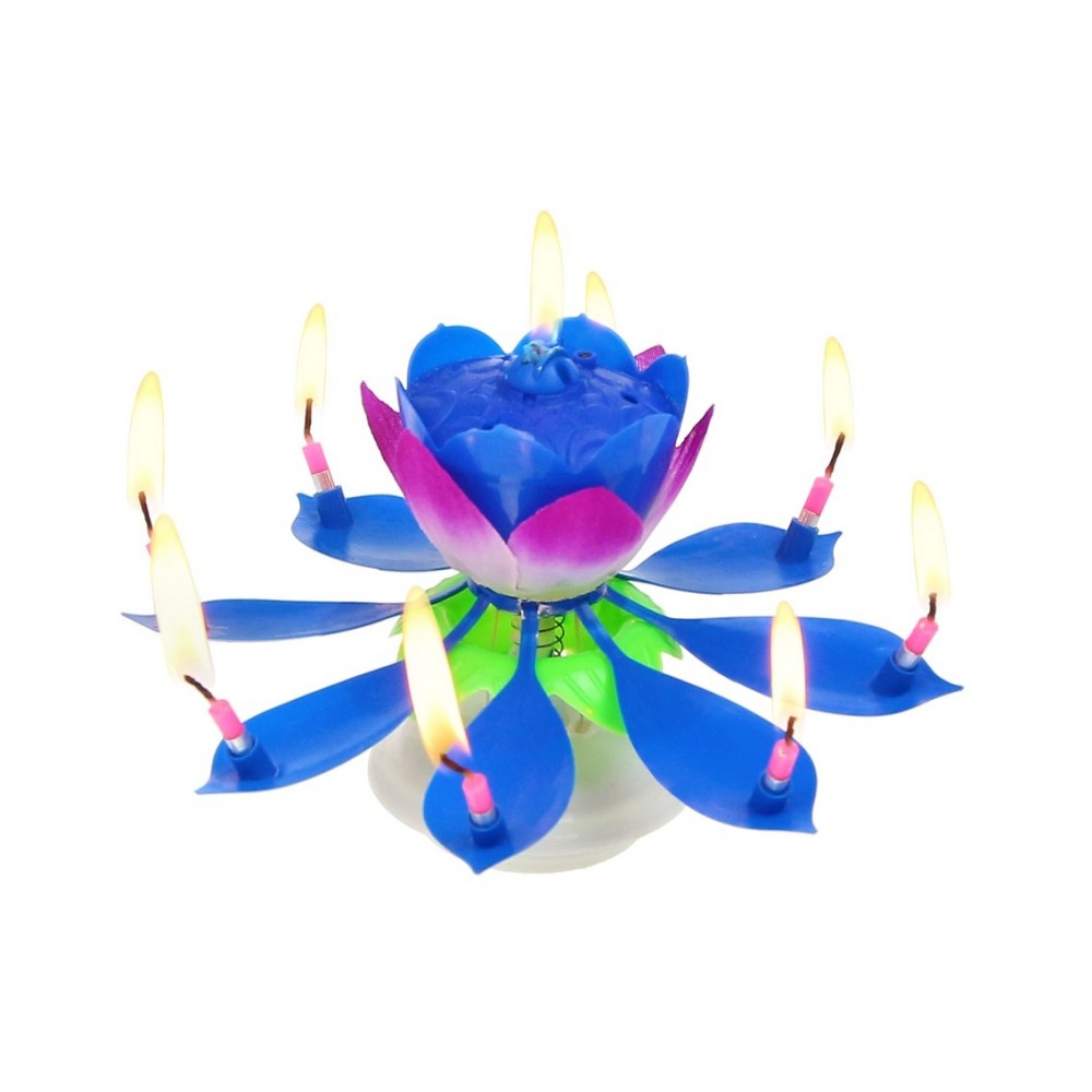 Zpívající lotosový květ modrý