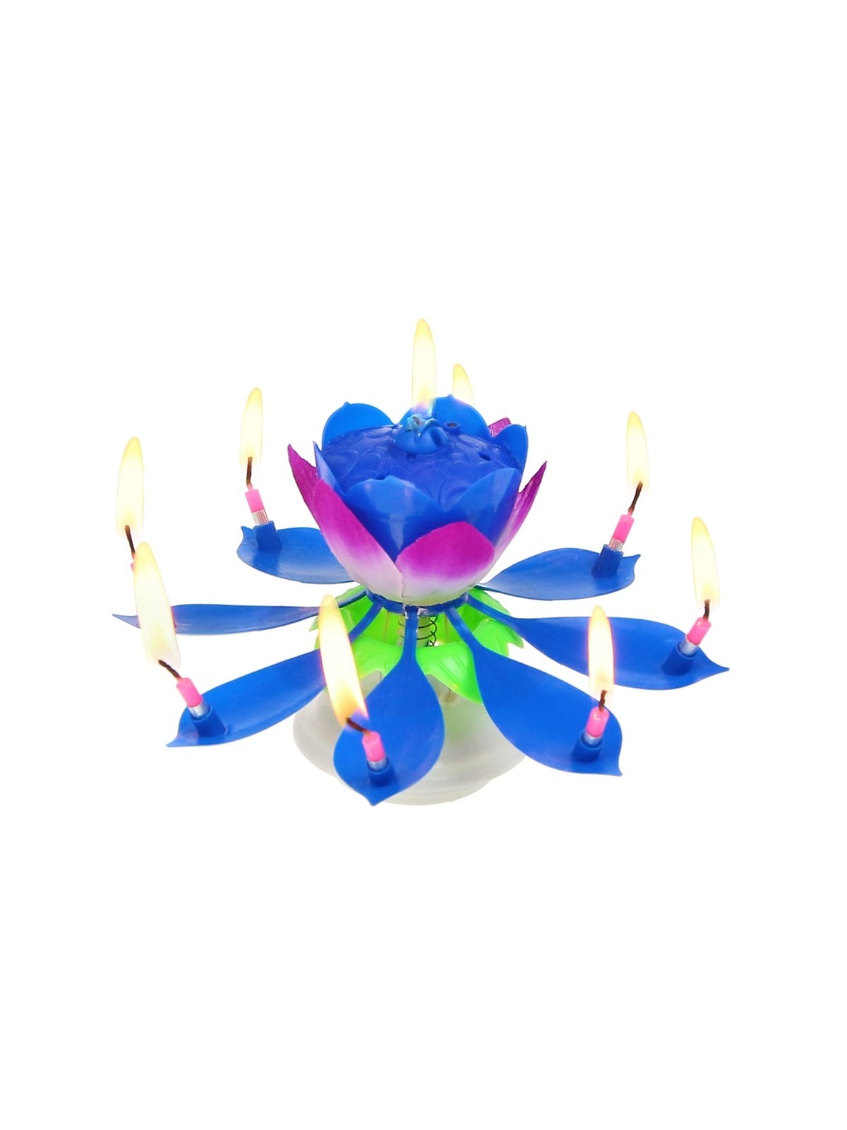 Zpívající lotosový květ modrý