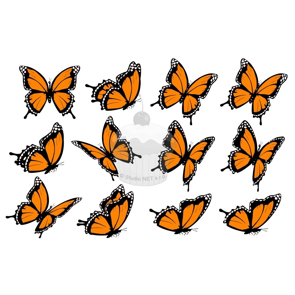 "Schmetterlinge orange 12 Stk" - A4