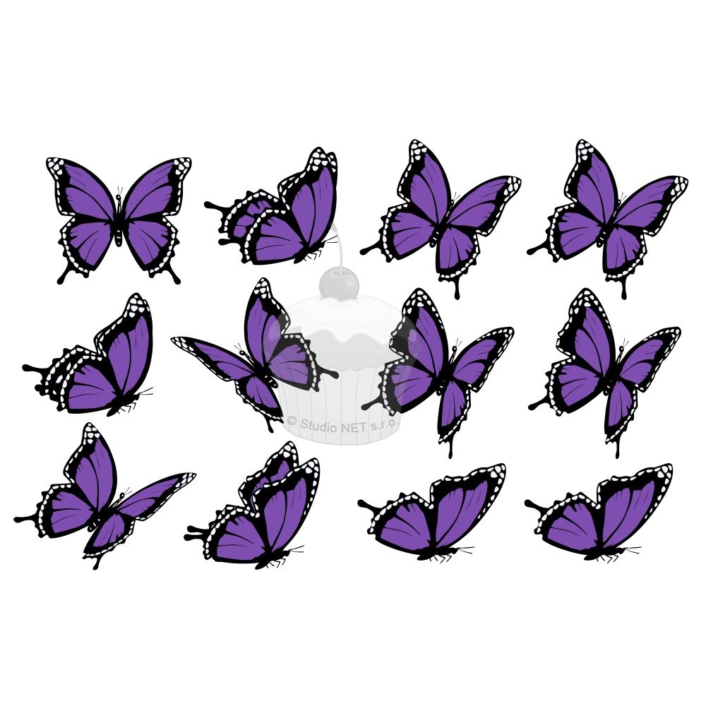 "purple  motyle II. 12 szt" - A4