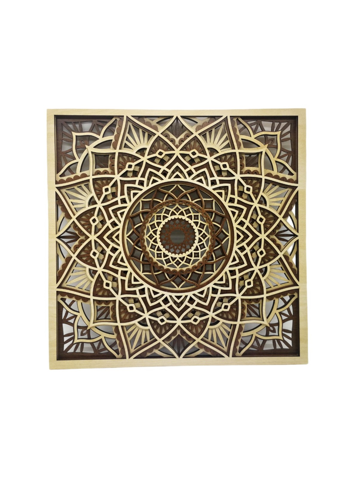 Mandala života 30