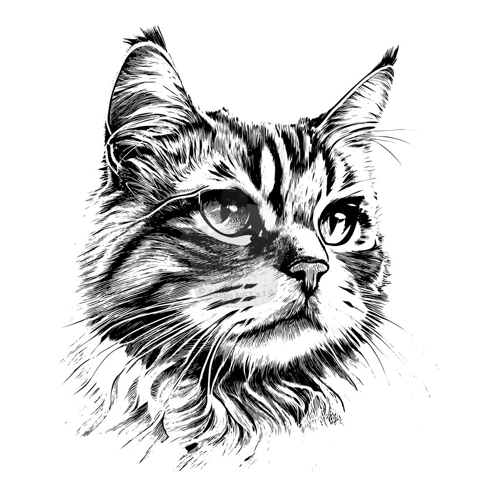 Esspapier „Katzen 7“ – A4