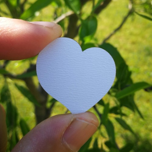 Slanted heart - 3cm/20 pcs