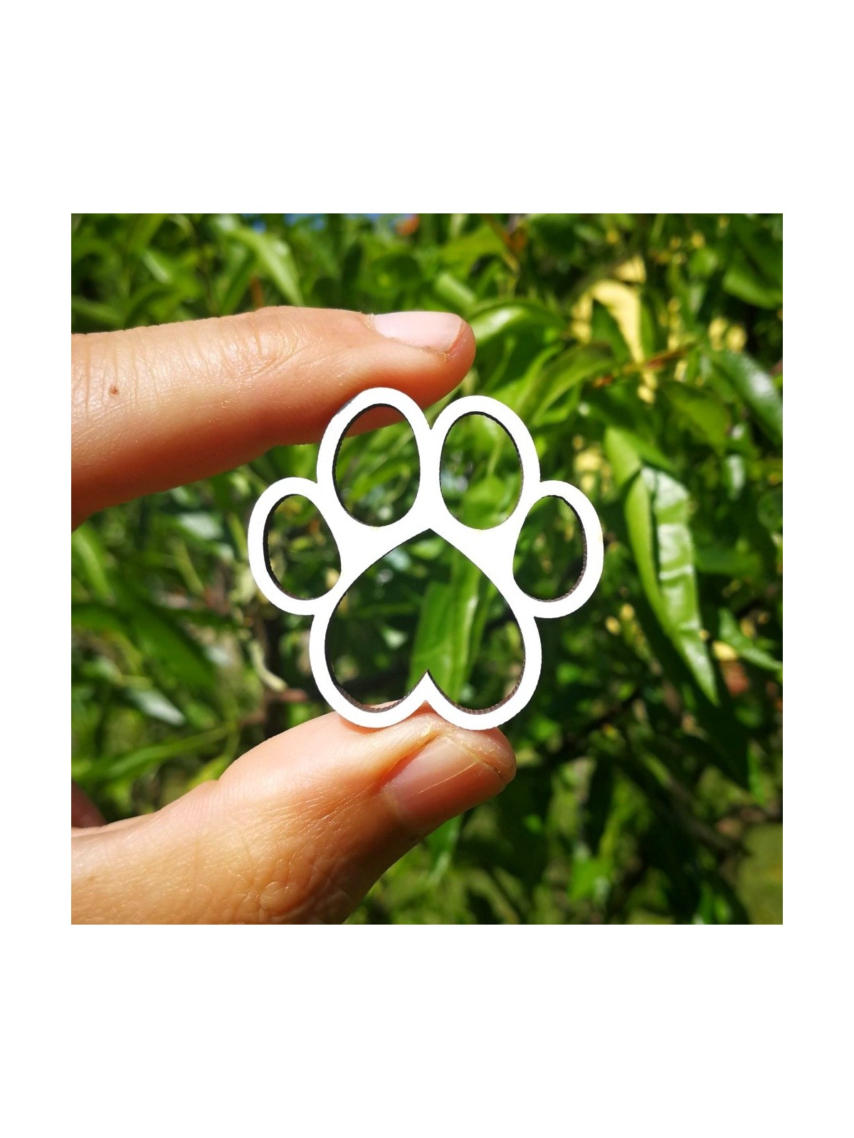 Paw - 4cm/10pcs