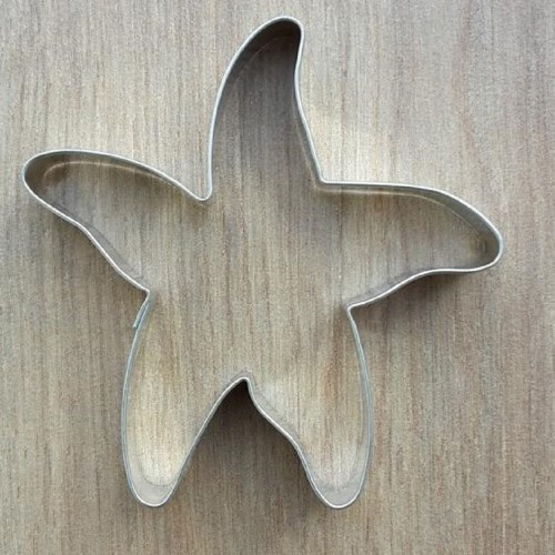 Stainless steel cookie cutter - starfish