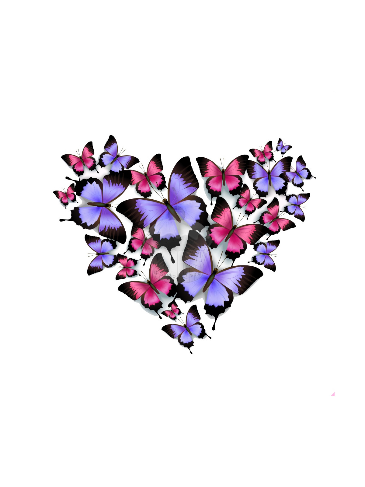 Esspapier „Schmetterlingsherz 2“ – A4