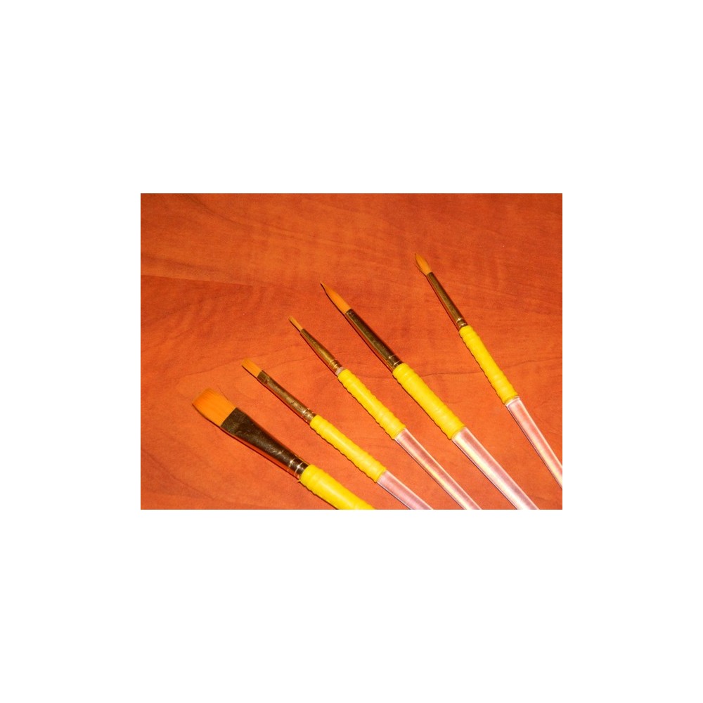 PME brush set 5pcs