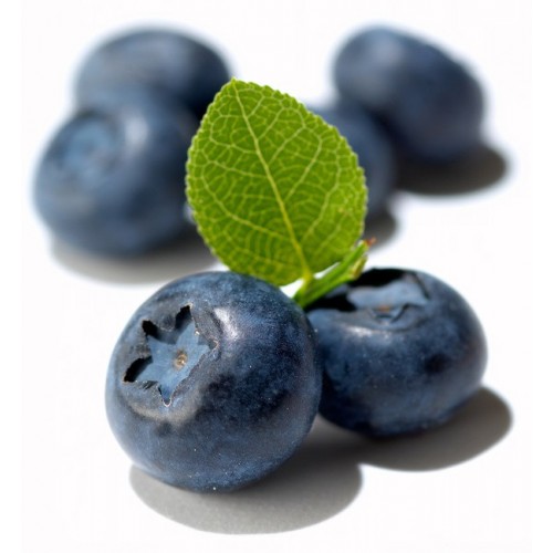 Darinka - blueberries jam 1 kg