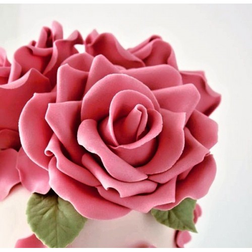 ESSLIEZER - Easy Rose - 11cm