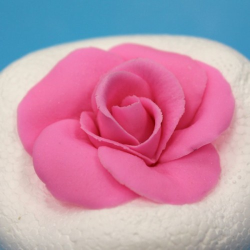 ESSLIEZER - Easy Rose - 11cm