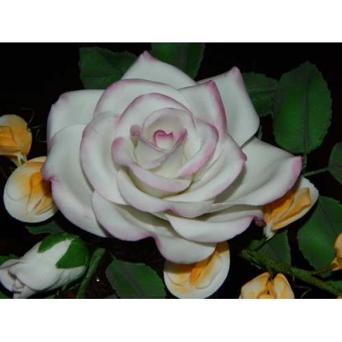 Sada formičiek - okvetné lístky ruže 5ks