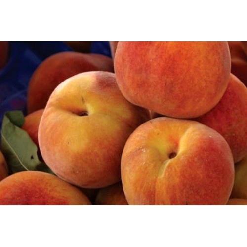 Food flavoring 20ml - PEACH