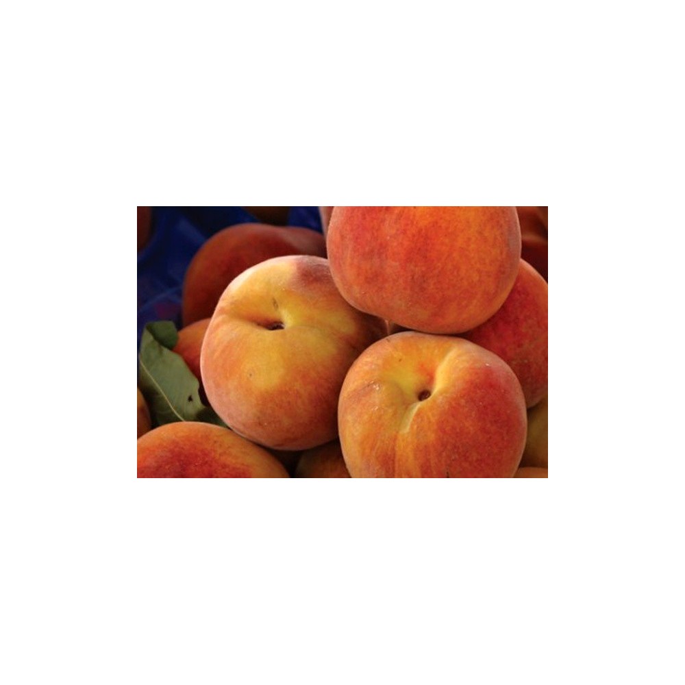 Food flavoring 20ml - PEACH