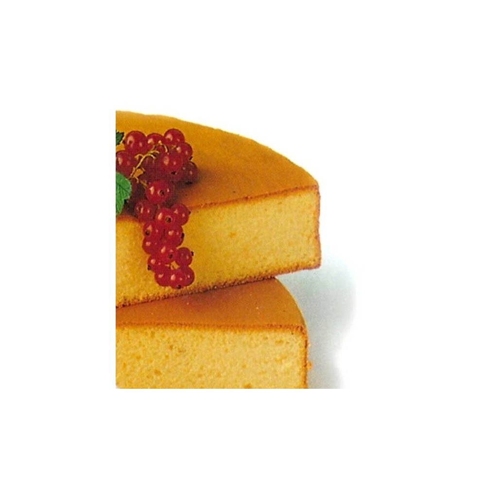 Complete mix - light sponge cake 1 kg