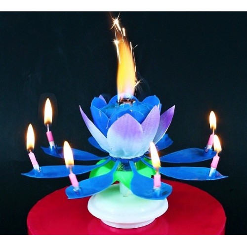 Singende Lotusblume - fountain - blau
