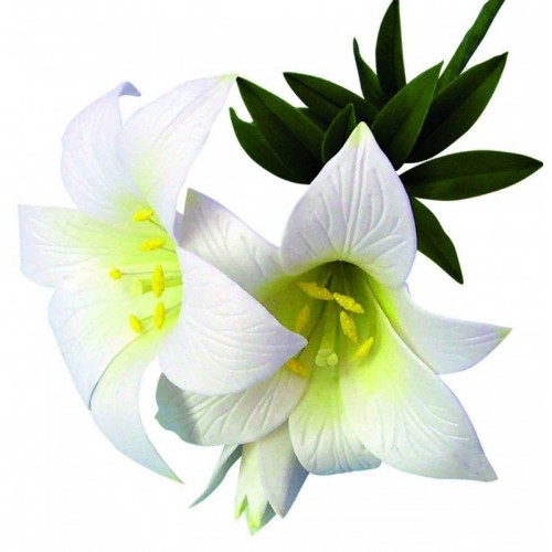Cutters - St. Joseph Lilies and Stargazer Lilies