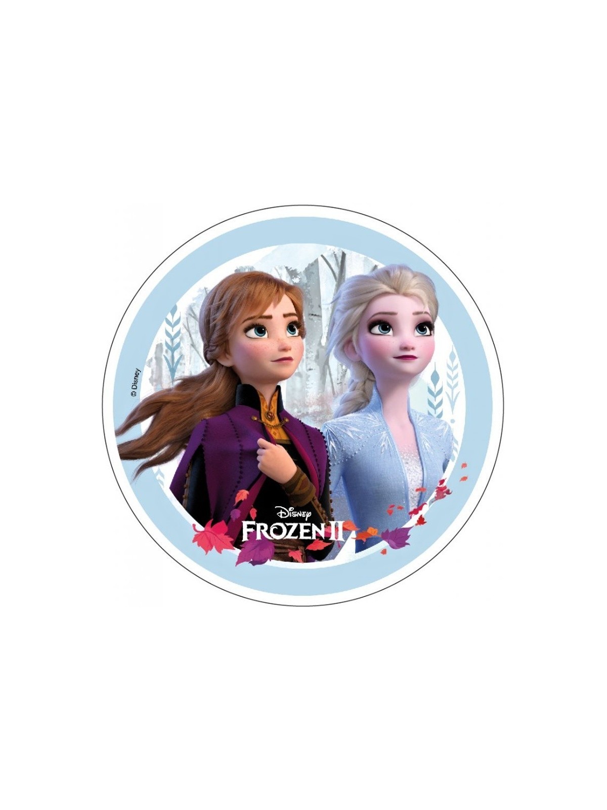 Disney Wafer Sheet - Frozen II. - theme 2.